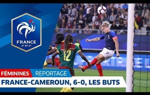 France - Cameroun  6-0