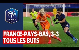 France - Pays-Bas 3-3